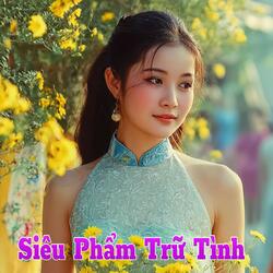 Tình Đời Lãng Du