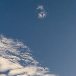 Bachu Back to the Block