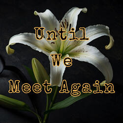 Until We Meet Again