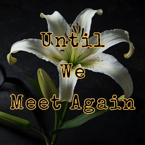 Until We Meet Again