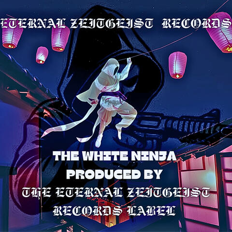 The White Ninja