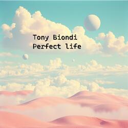 Perfect life