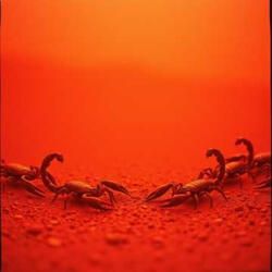 Lusting is a Deadly Game