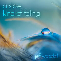 A Slow Kind of Falling