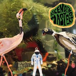 The Kingdom Of The Space Birds