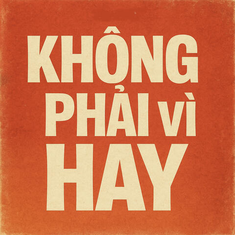 Không Phải Vì Hay