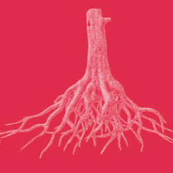 Don't let them be me