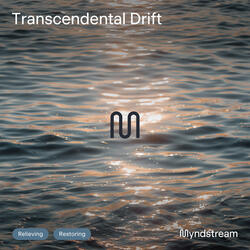 Transcendental Drift