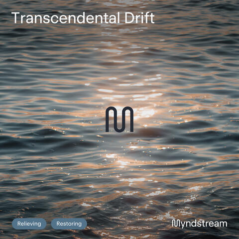 Transcendental Drift