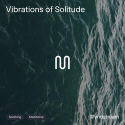 Vibrations of Solitude