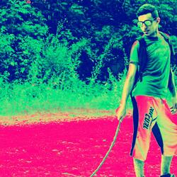 Perra malintencionada