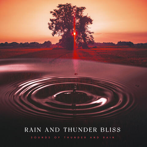 Rain and Thunder Bliss