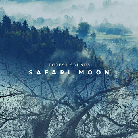 Safari Moon