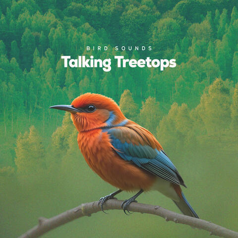 Talking Treetops