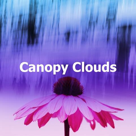 Canopy Clouds