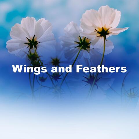 Wings and Feathers