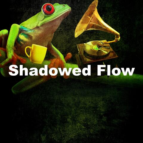 Shadowed Flow