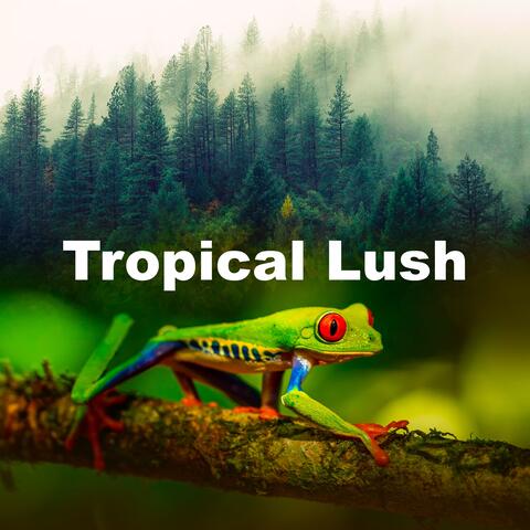 Tropical Lush