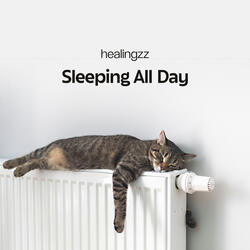 Sleeping All Day