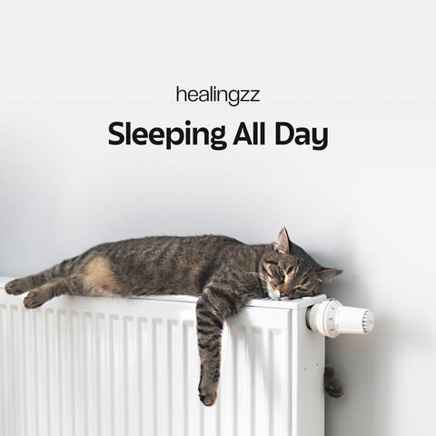 Sleeping All Day