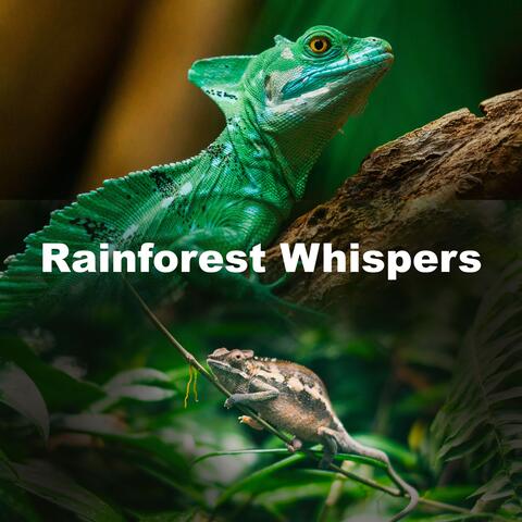 Rainforest Whispers