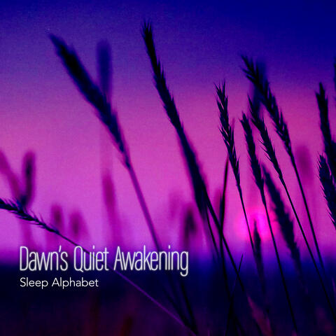 Dawn’s Quiet Awakening