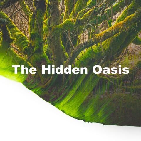 The Hidden Oasis