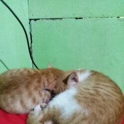 Beban Berat Gaji Kecil