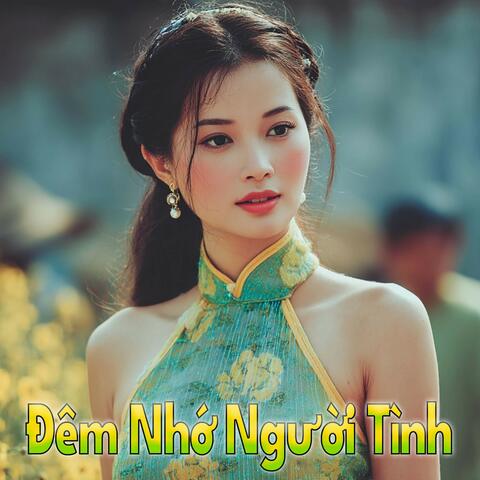 Đêm Nhớ Người Tình