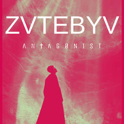 ZVTEBYV