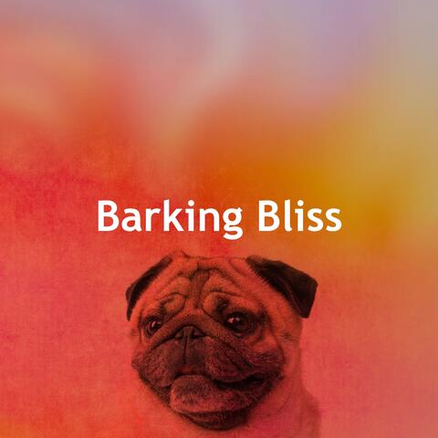 Barking Bliss