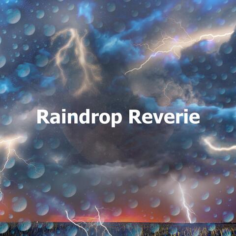 Raindrop Reverie