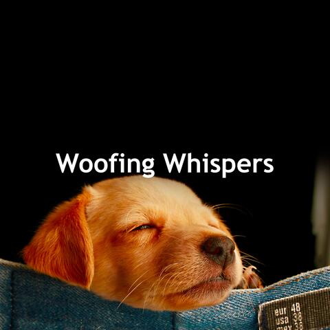 Woofing Whispers