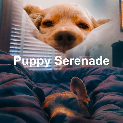 Puppy Serenade