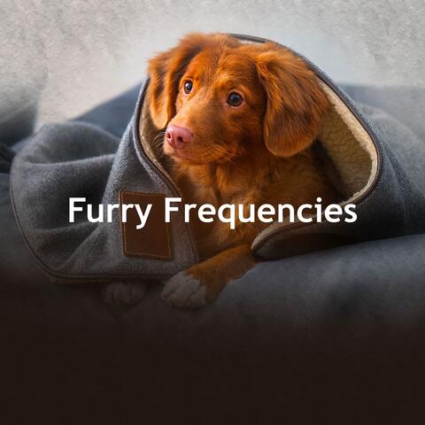 Furry Frequencies