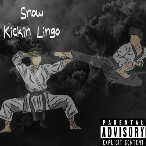 Kicking Lingo