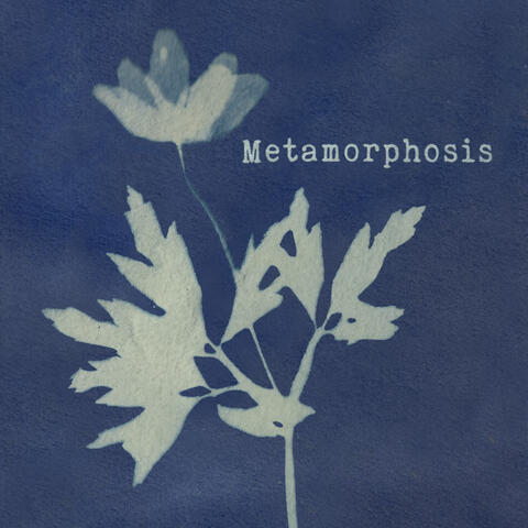 Metamorphosis