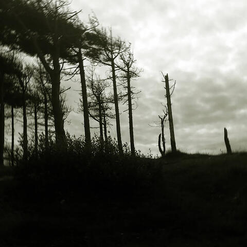 The Indestructibility of The Already Felled