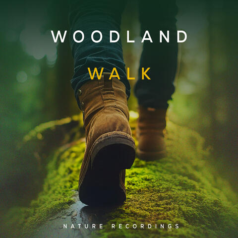 Woodland Walk