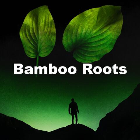 Bamboo Roots
