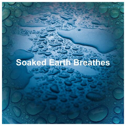 Soaked Earth Breathes