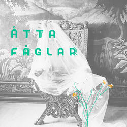 Åtta fåglar