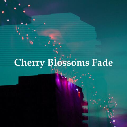 Cherry Blossoms Fade