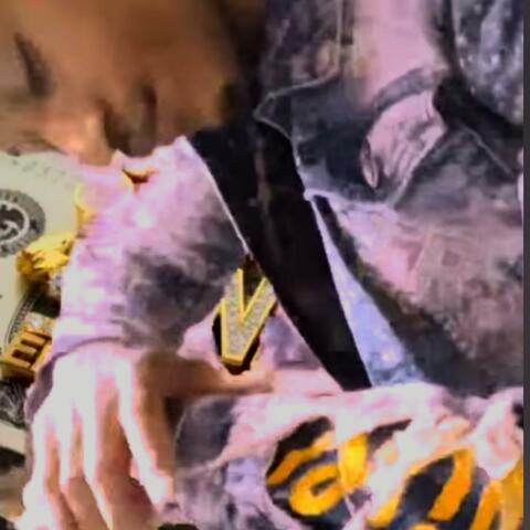 MoneyVer$e