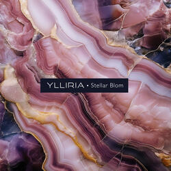 Stellar Blom