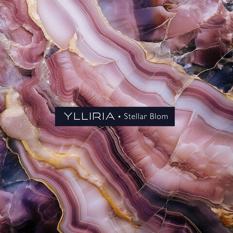 Stellar Blom