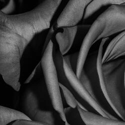 Fading To Black
