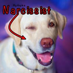My Dog is a Narcissist