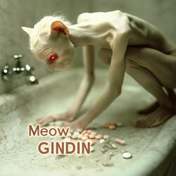Meow Meow