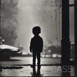 Too Late For Goodbye
